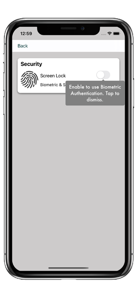 Biometric setting screen